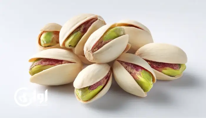 تصویری از پسته احمد آقایی رنگ و اندازه پسته. اوان تجارت