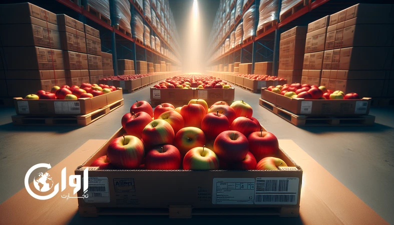 سیب صادراتی آذربایجان روی پالت و کارتن‌های بسته‌بندی‌شده برای صادرات به روسیه با تاکید بر زنجیره سرد و کنترل کیفیت