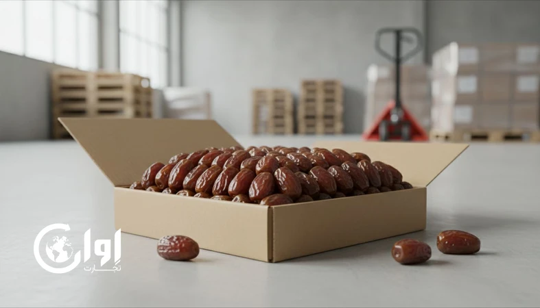 خرمای کبکاب بوشهر با بسته‌بندی کارتن مقوایی برای خرید عمده و صادرات B2B