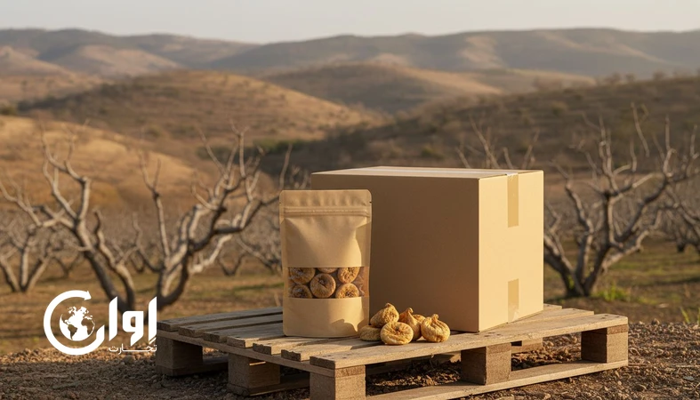 انجیر خشک استهبان؛ مزیت رقابتی ایران در بازار جهانی اسنک‌های سالم