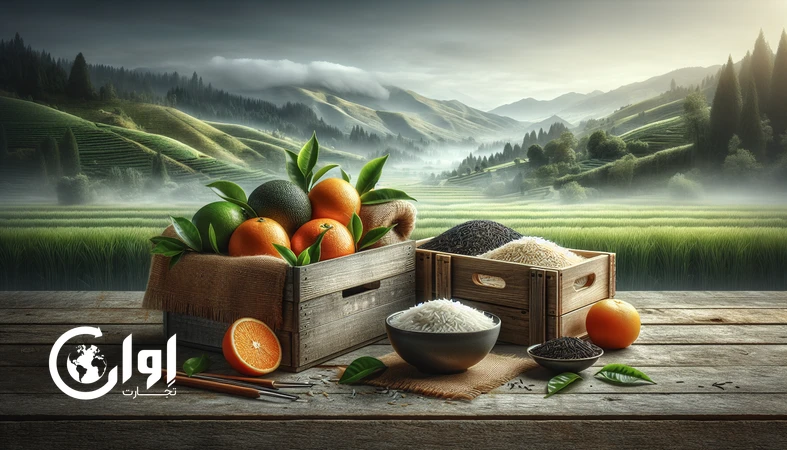سه‌گانه طلایی شمال ایران برای صادرات پریمیوم: چای گیلان، برنج مازندران و مرکبات با بسته‌بندی صادراتی