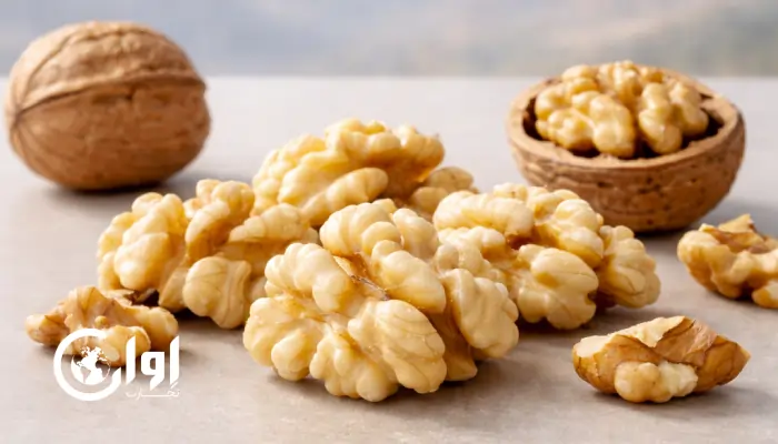 چرا «گردوی تویسرکان» یکی از ممتازترین مغزهای جهان است؟ بررسی علمی طعم و چربی